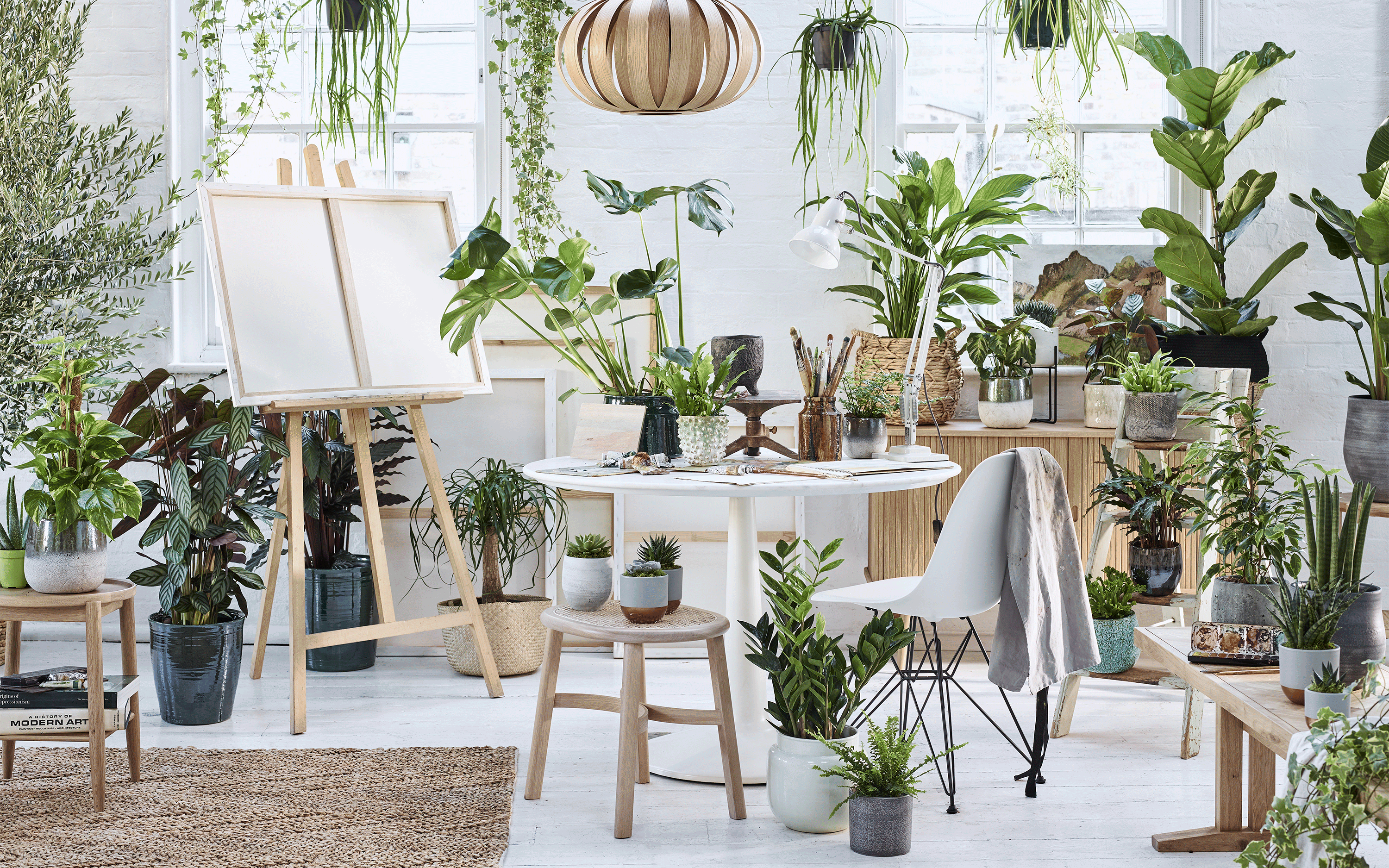5 ways to decorate with house plants