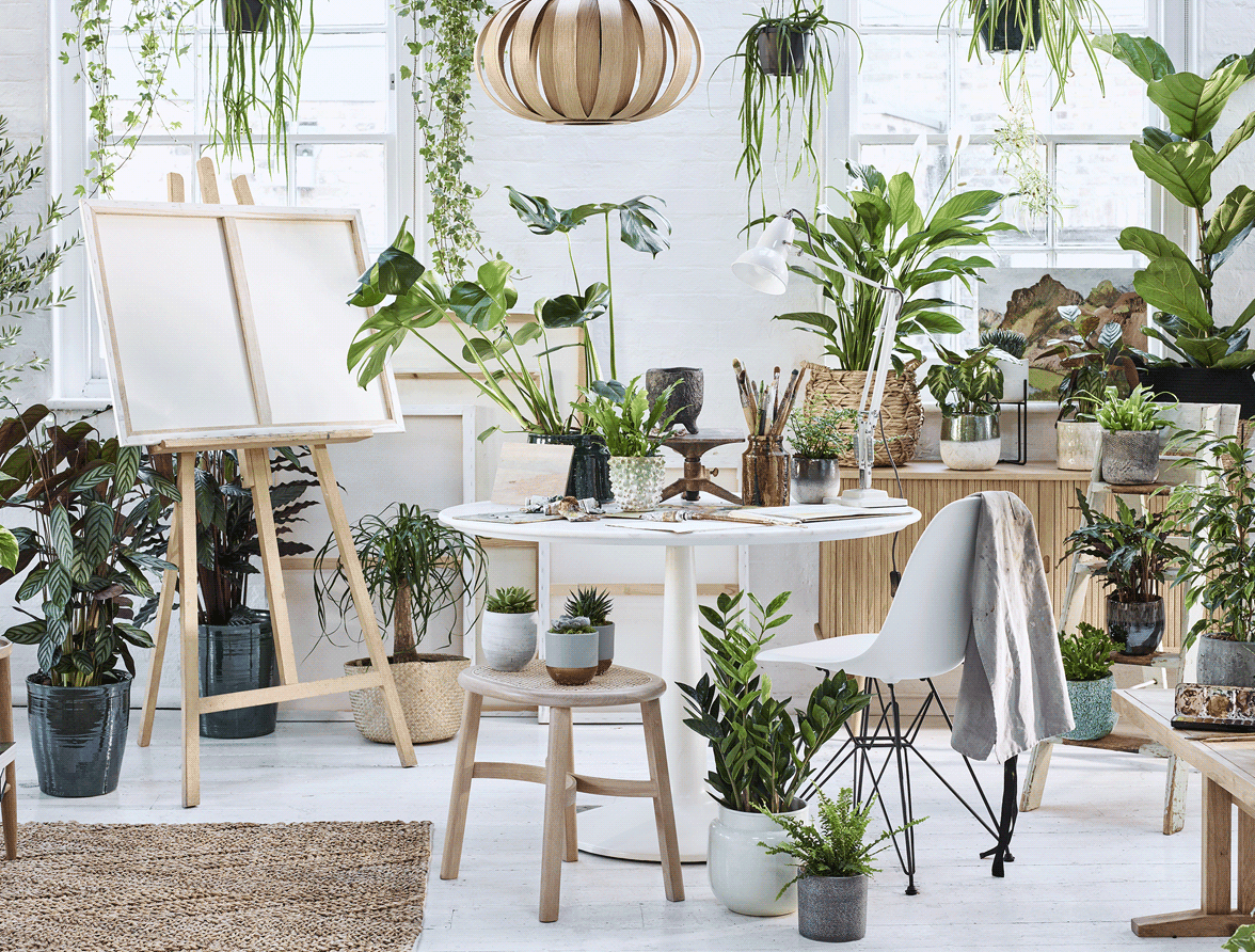 5 ways to decorate with houseplants