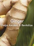 Origins Ginger Essence™ Sensuous Skin Scent