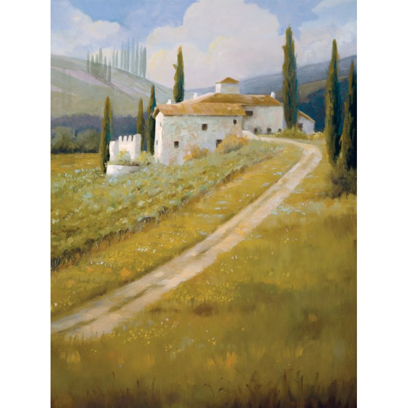 John Lewis Carolyne Hawley - Tuscan Vineyard, Frameless 98834