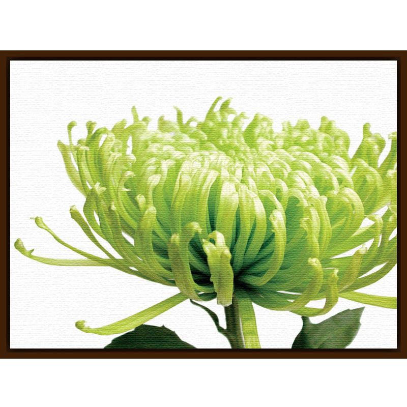 John Lewis Jenny Kraft - Green Chrysanthemum, Dark Canvas