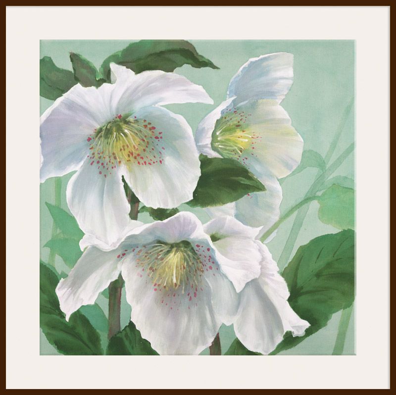 Maggie Thompson - Floral Splendour, Dark Brown Framed Print, 40 x 40cm