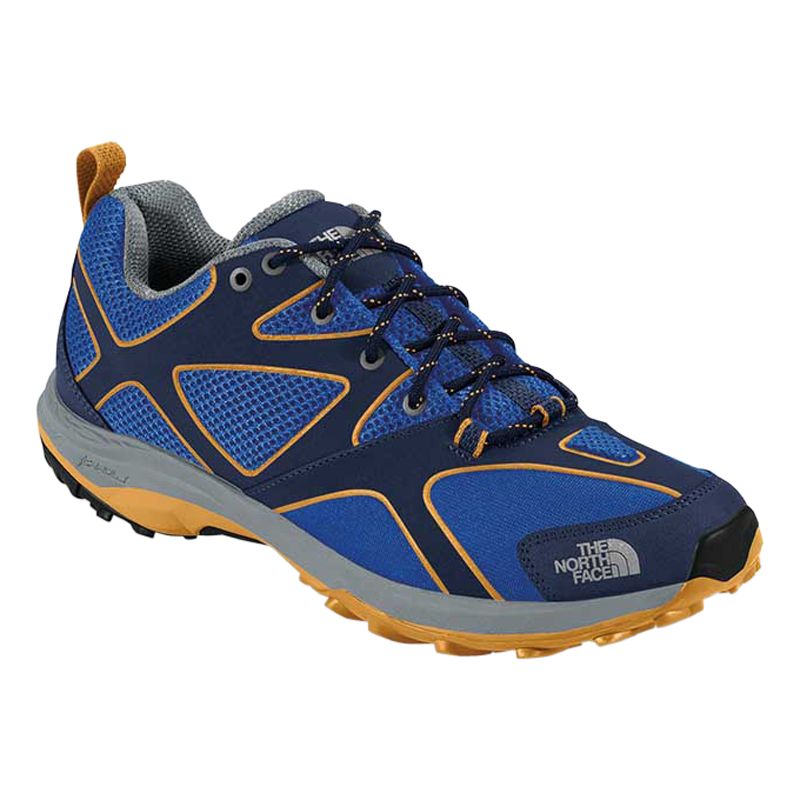 Buy The North Face Men's Hedgehog Guide GTX Walking Shoes Online at ...