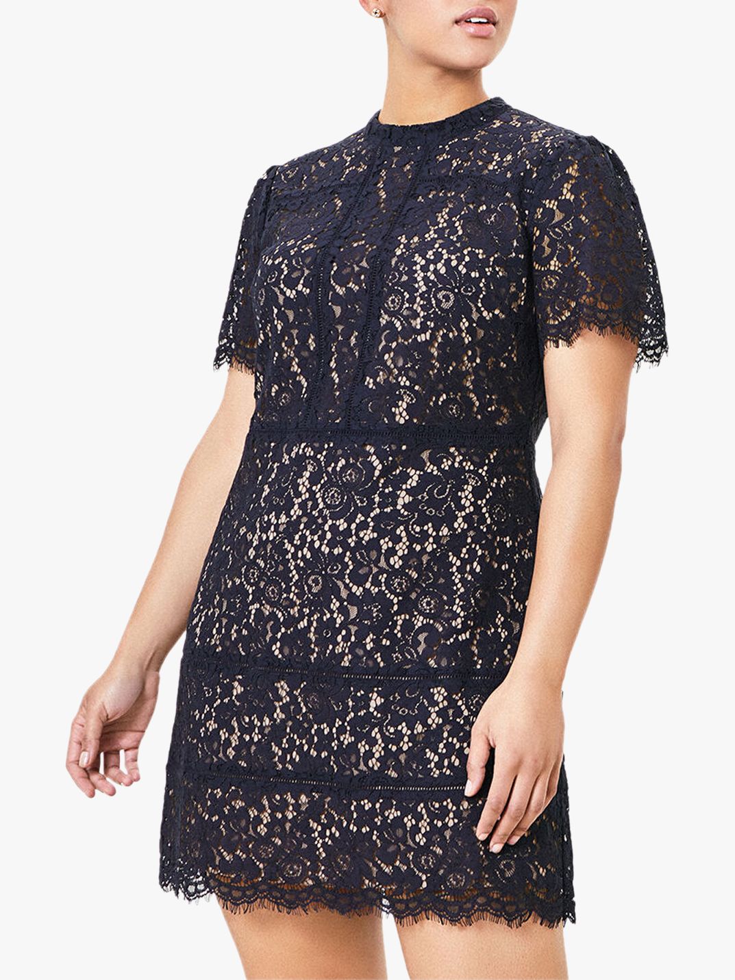 curve lace dress