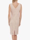 Gina Bacconi Phylis Stretch Floral Lace Dress