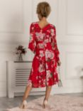 Jolie Moi Long Sleeve Floral Mesh Midi Dress, Scarlet/Multi