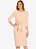 Adrianna Papell Knit Crepe Tie Waist Sheath Knee Length Dress