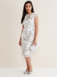 Phase Eight Petite Franky Floral Lace Dress, Ivory/Multi