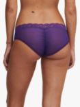 Passionata Brooklyn Hipster Knickers, Purple