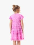 Angel & Rocket Kids' Luisa Embroidered Mesh Dress, Pink, Pink