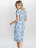 Gina Bacconi Millie Embroidered Lace Midi Shift Dress, Sky Blue, Sky Blue
