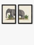 EAST END PRINTS Natural History Museum 'Elephant' Framed Print, Set of 2