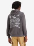 Levi's Standard Fit Graphic Hoodie, Grey/Multi