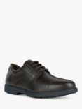Geox Spherica EC11 Leather Oxford Shoes, Coffee