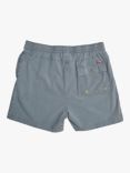 Deus ex Machina Sandbar Acid Shorts, Light Grey