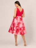 Adrianna Papell Floral Print Midi Dress, Pink/Red Multi