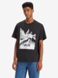 Levi's Short Sleeve Relaxed Graphic T-Shirt, Warped Scenic Caviar