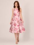 Adrianna Papell Floral Jacquard Flared Dress, Blush/Multi