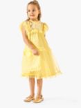 Angel & Rocket Kids' Luisa Embroidered Mesh Dress, Yellow