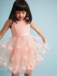 Monsoon Kids' Serenata Rose 3D Occasion Dress, Pink