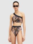 AllSaints Dara Snake Print Asymmetric Neck Bikini Top, Tahoe Brown