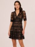 Adrianna Papell Lace Embroidery Mini Dress