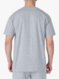 LUKE 1977 Exquisite Relaxed Fit T-Shirt, Grey