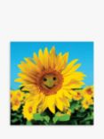 Woodmansterne Sunny Disposition Greeting Card