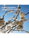 L'OCCITANE Cherry Blossom Shimmering Body Lotion, 250ml