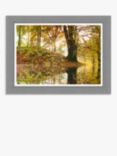 Mike Shepherd - 'Woodland Reflection' Framed Print, 63 x 83cm, Yellow/Multi