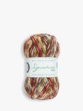 West Yorkshire Spinners Signature 4 Ply Yarn, 100g, Robin