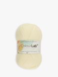 West Yorkshire Spinners ColourLab DK Yarn, 100g, Arctic White