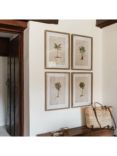 One.World Tropical Tree Wood Framed Print & Mount, Set of 4, 64.5 x 48cm, Brown/Multi