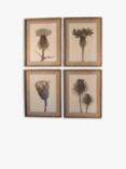 One.World Poppy Wood Framed Print & Mount, Set of 4, 70 x 55cm, Brown/Multi