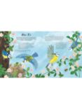 National Trust Birds of a Feather Children's Board Book