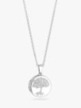Simply Silver Embossed Tree Of Love Locket Pendant Necklace, Silver