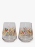 Sara Miller Chelsea Collection Birds Glass Tumbler Set of 2, 410ml, Clear/Multi