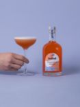 Kocktail Passionfruit Martini, 500ml