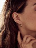 Orelia Chain Huggie Hoop Earrings, Pale Gold