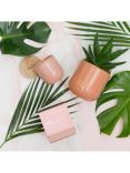 The Little Botanical Pink Cashmere Candle Gift Set