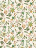 Osborne & Little Mythica Wallpaper, W7816-02