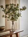 John Lewis Artificial Eucalyptus in Glass Vase
