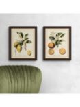 Vision Studio - 'Tuscan Fruit' Framed Print, Set of 2, 57 x 47cm, Green/Multi