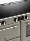 Stoves Richmond Deluxe 110cm Electric Range Cooker with Induction Hob, Porcini Mushroom