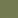 Army Green  - Out of stock