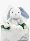 Babyblooms Personalised Bunny and Buds New Baby Gift Set, Blue