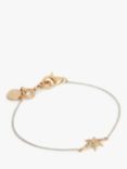 AllSaints Star Charm Bracelet, Gold