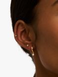 Orelia Pearl Hoop & Star Stud Earrings, Pack of 3, Gold