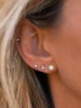 Leah Alexandra Cubic Zirconia Beaded Stud Earrings, Gold