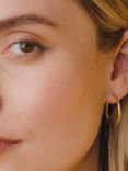 Astley Clarke Textured Hoop Earrings, Gold